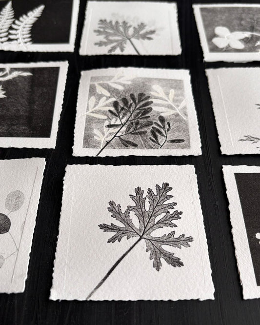 Print Making Workshop with Su France - Sunday 13 September 2026 10am-1pm