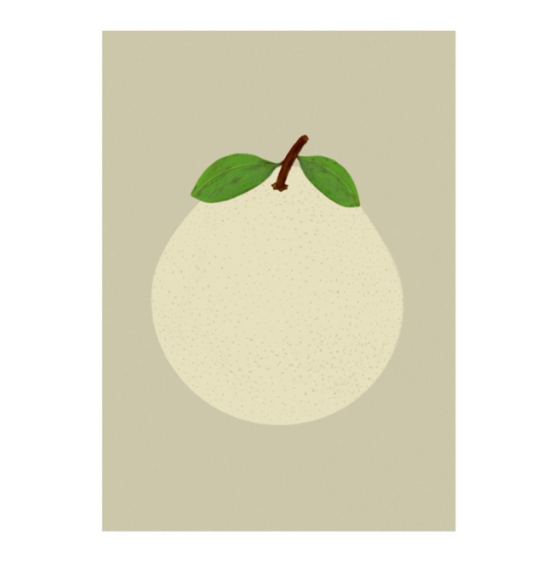 A3 Art Print - Nashi Pear