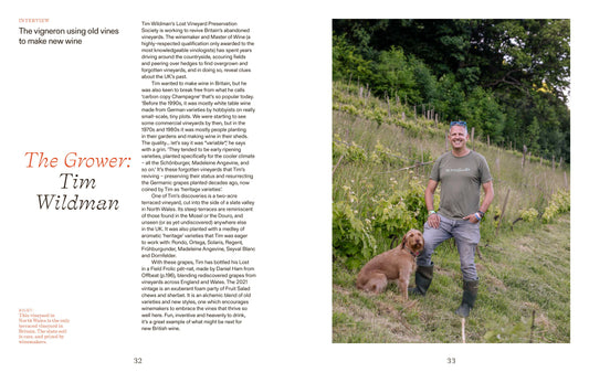 Book New British Wine (Hoxton Mini Press)