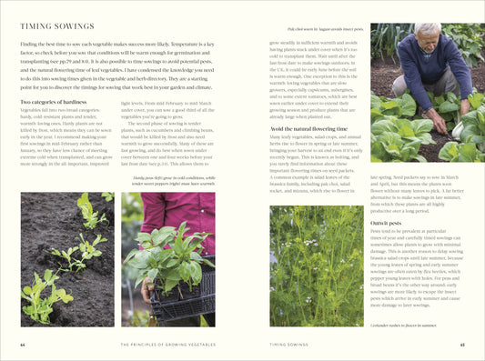 Book No Dig: Nurture Your Soil To Grow Better Veg