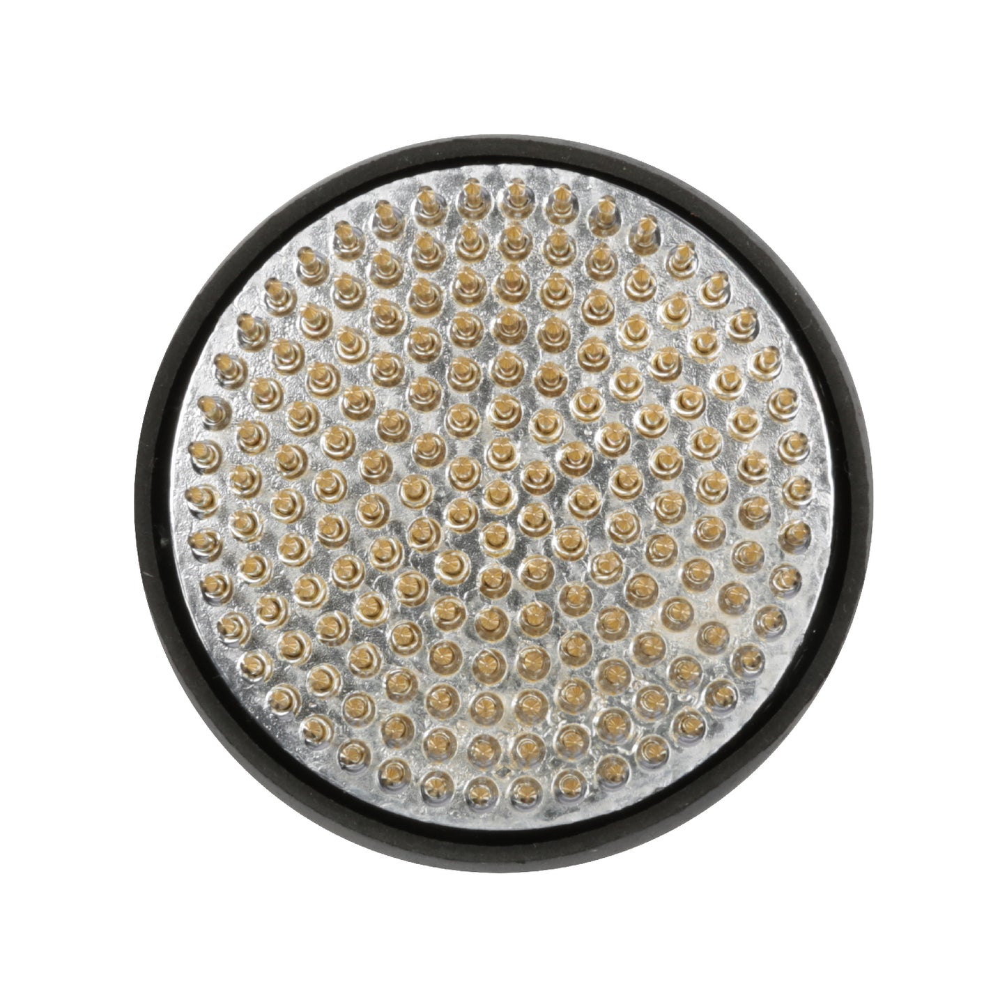 Niwaki Kenzan Flower Frog Medium