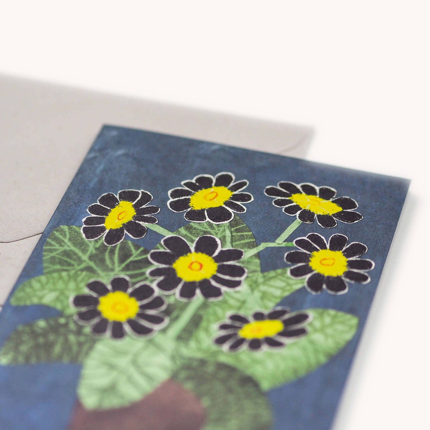 Card Black Auricula Flowers
