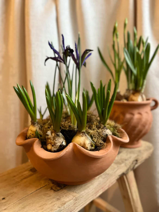 Terracotta Workshop with Jess Ellis - Sunday 8 March 2026