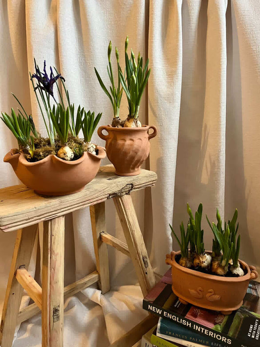 Terracotta Workshop with Jess Ellis - Sunday 8 March 2026