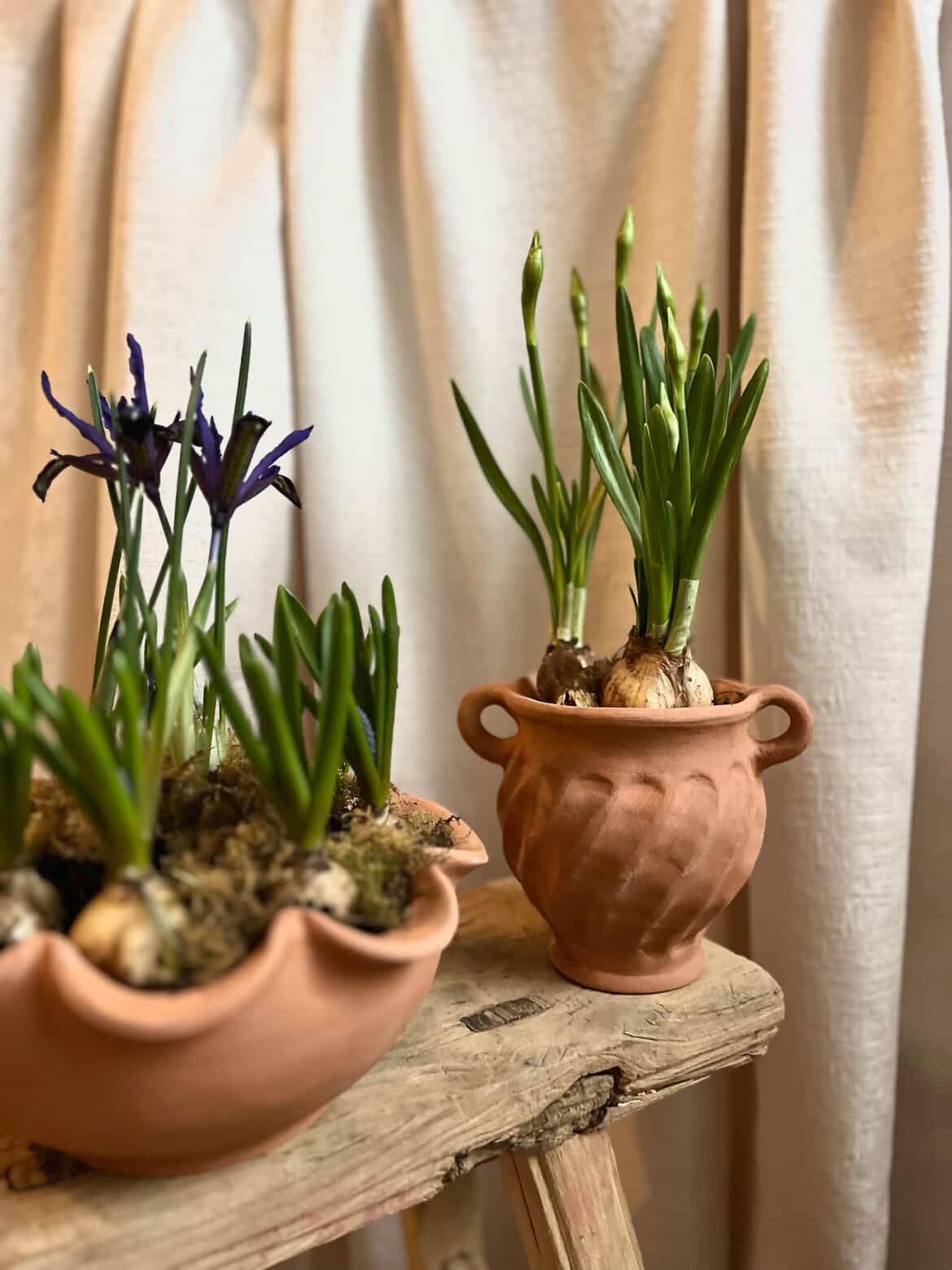 Terracotta Workshop with Jess Ellis - Sunday 8 March 2026