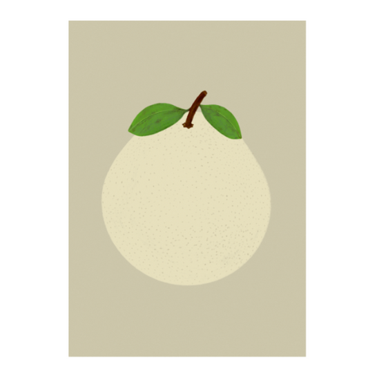 A3 Art Print - Nashi Pear