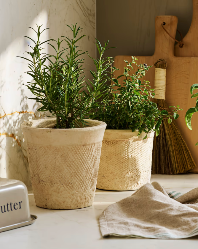 Adlestone Pots - Assorted