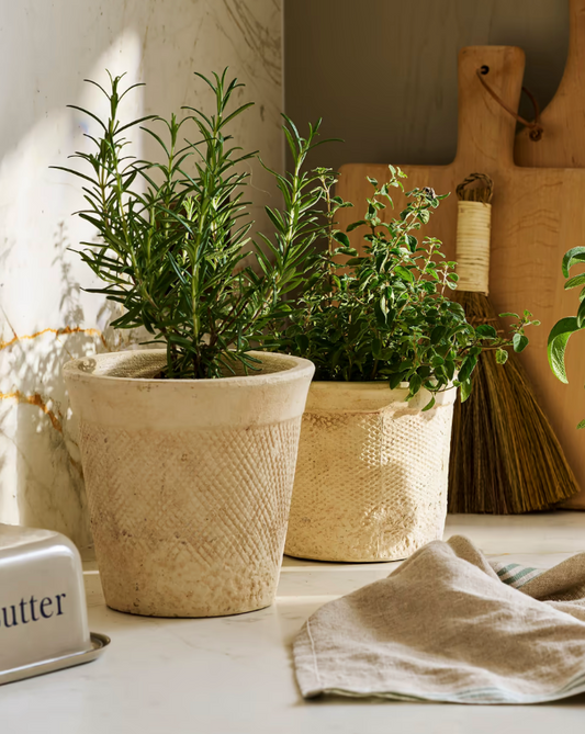Adlestone Pots - Assorted