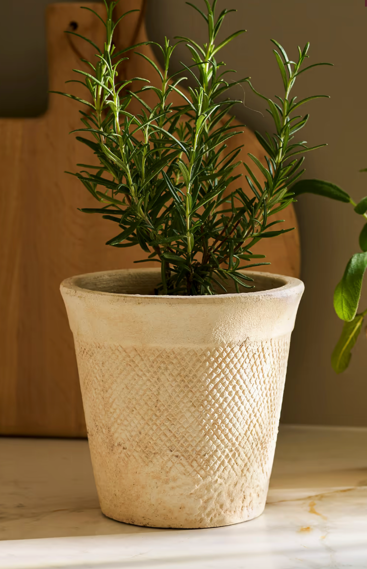 Adlestone Pots - Assorted