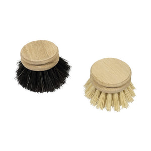 Eco Replacement Brush Head - Assorted