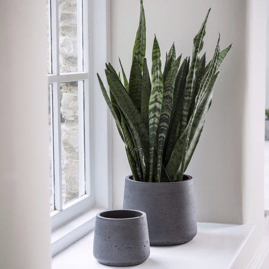 Eden Taper Plant Pot - Charcoal