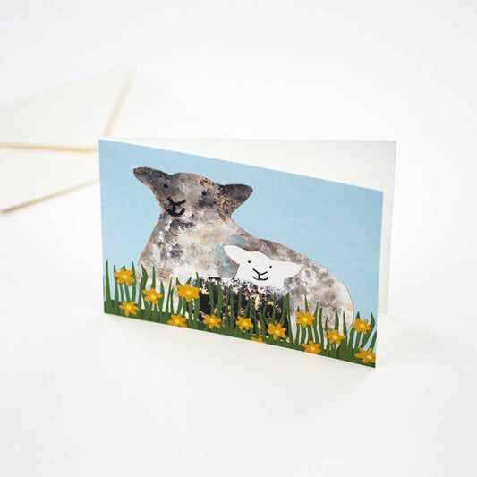 Card Spring Lamb