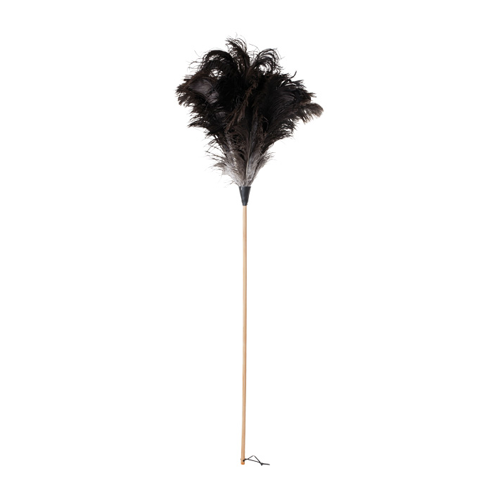 Classic Ostrich Feather Duster